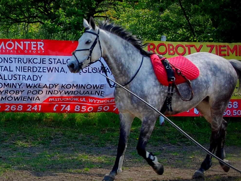 Wizyta na Ranczu u Nikodema